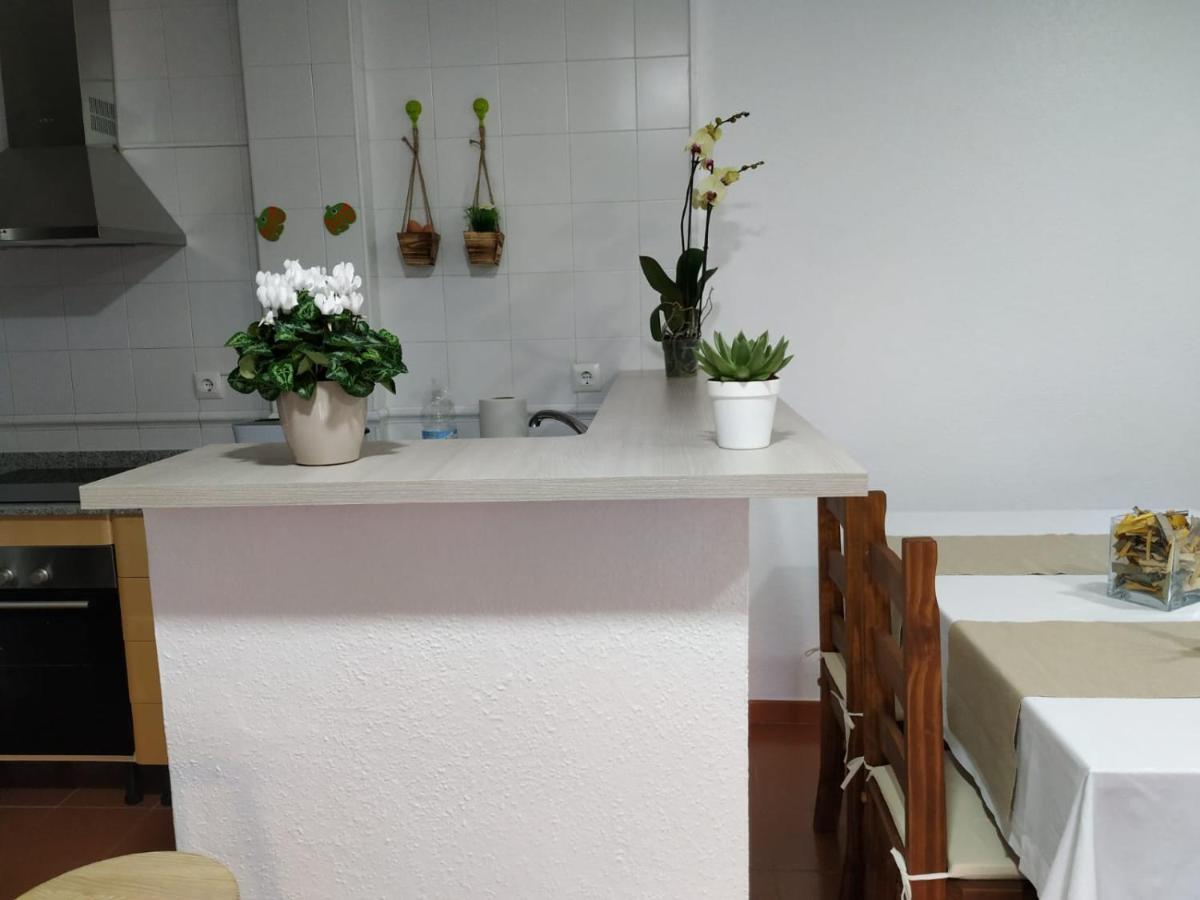 טריפה Apartamento Vista Mar La Tortuga מראה חיצוני תמונה